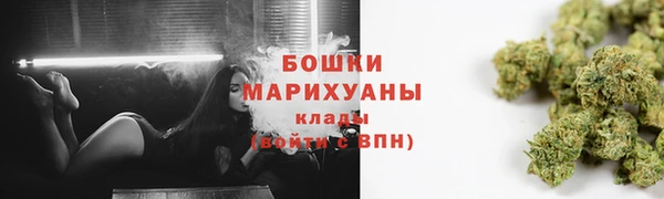 сатива Елизово